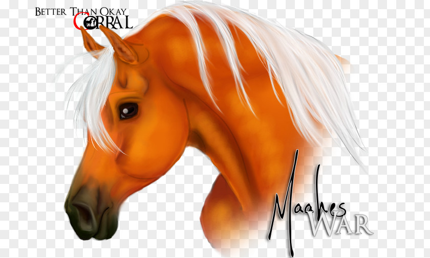 Mustang Stallion Halter Desktop Wallpaper Freikörperkultur PNG