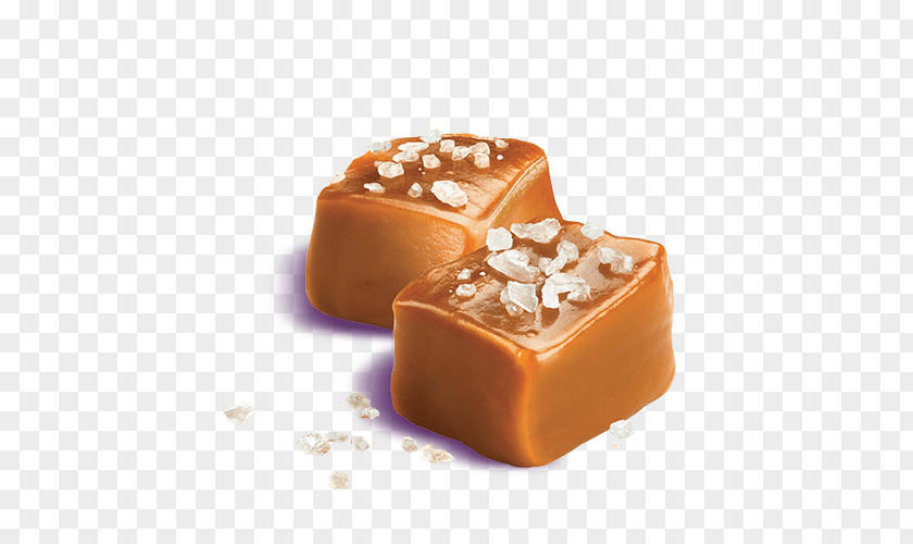 Caramel Fudge Cajeta Dulce De Leche Praline PNG