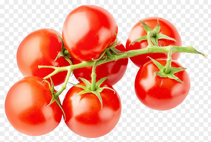 Tomatoes On The Vine Tomato Juice Cherry Vegetable Fruit PNG