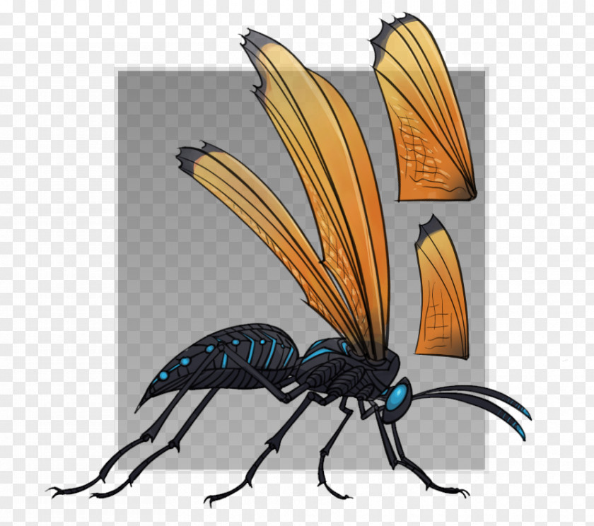 Bee Insect Butterfly Cartoon PNG