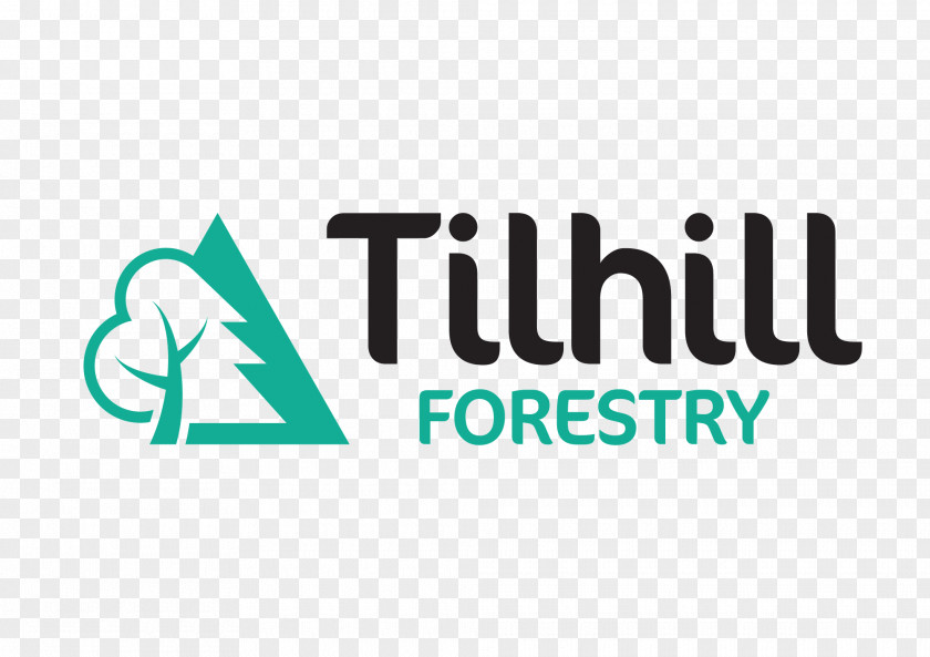 Forest Tilhill Forestry Sustainable Management PNG