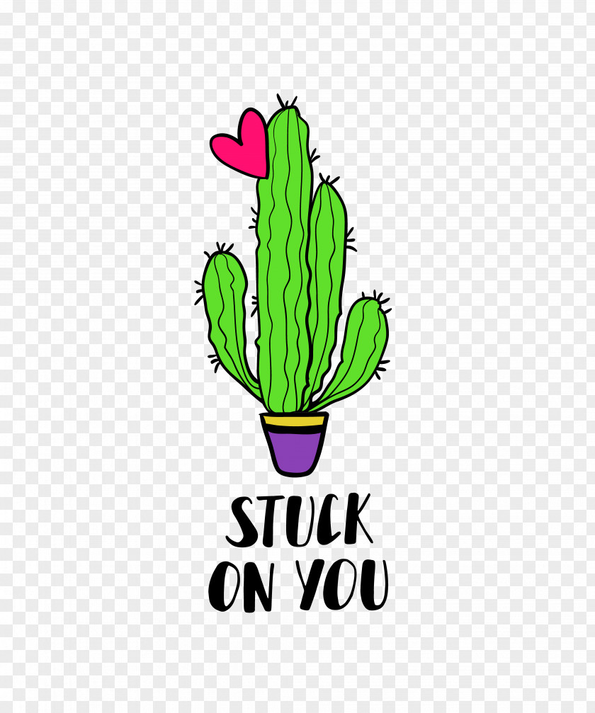 Hand Painted Cactus Cactaceae PNG