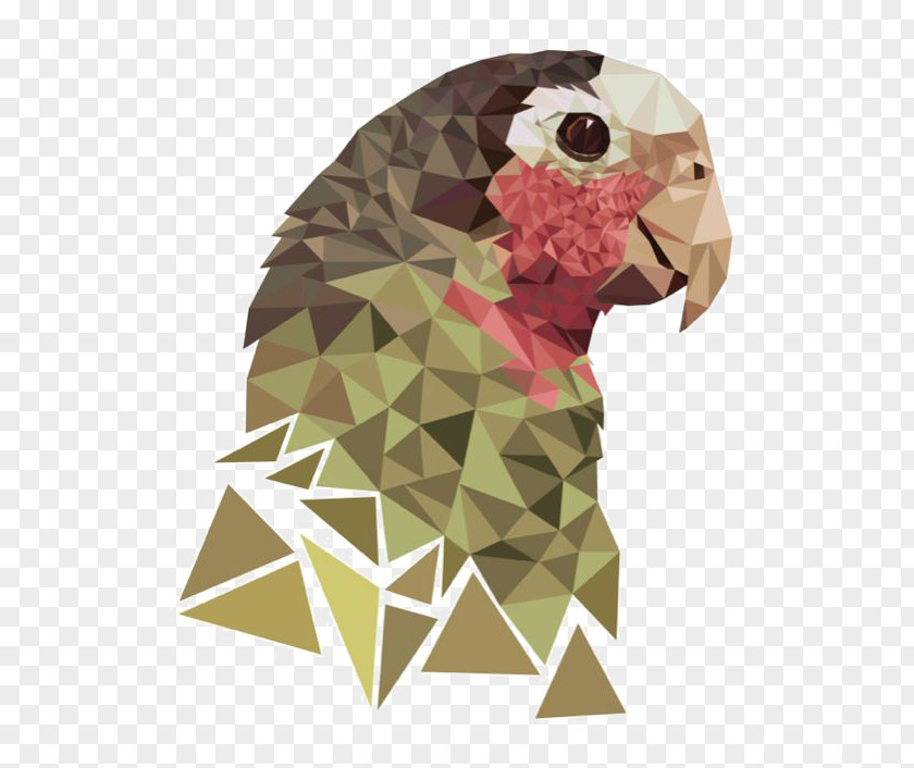 Parrot Geometry Drawing Illustration PNG
