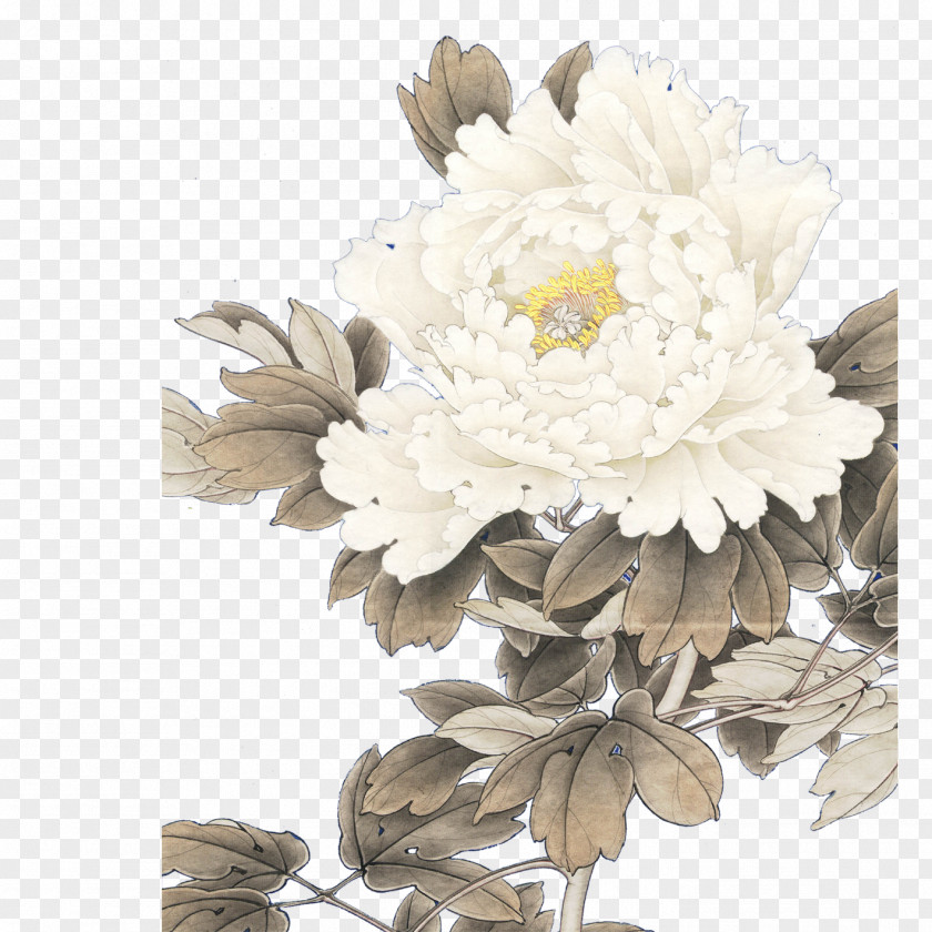 Peony Moutan Floral Design Icon PNG