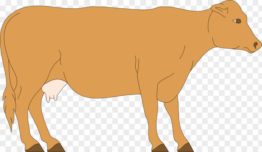 Sapa Dairy Cattle Calf Clip Art PNG