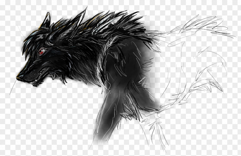 Werewolf Gray Wolf Canidae Drawing Sketch PNG