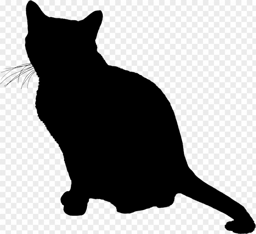 Whiskers Wildcat Domestic Short-haired Cat Dog PNG