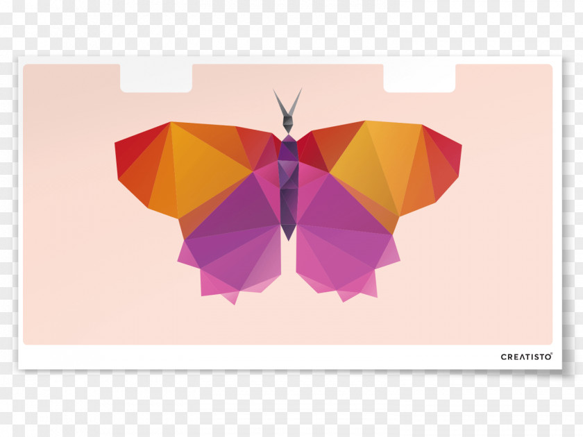 Butterfly Stock Photography PNG