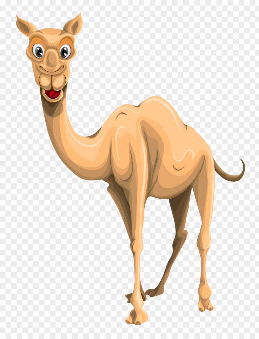 Camel Clip Art PNG