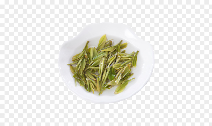 A Cup Of Green Tea Material Hu014djicha Nilgiri Baihao Yinzhen Huangshan Maofeng PNG