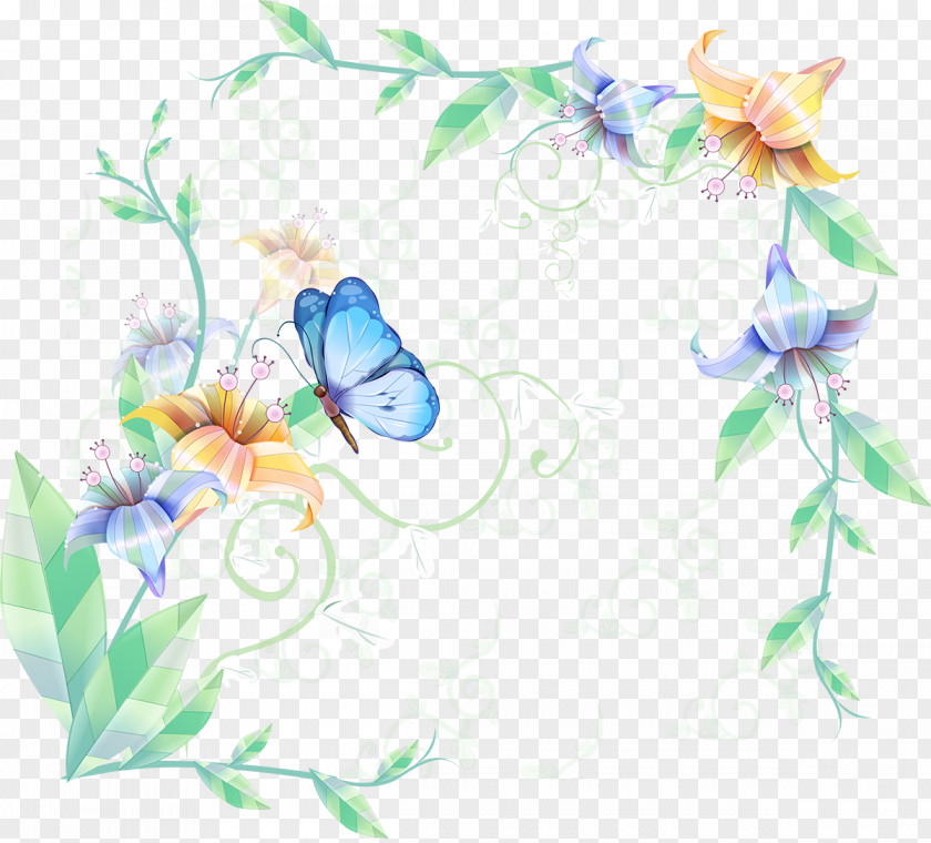 Butterfly Clip Art Decorative Borders Flower Drawing PNG