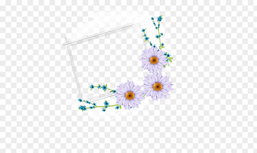 Cut Flowers Floral Design Oxeye Daisy PNG