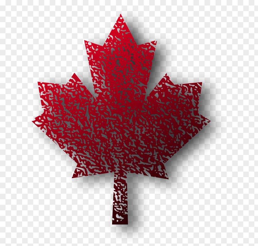 Maple Leaf Background Clip Art PNG