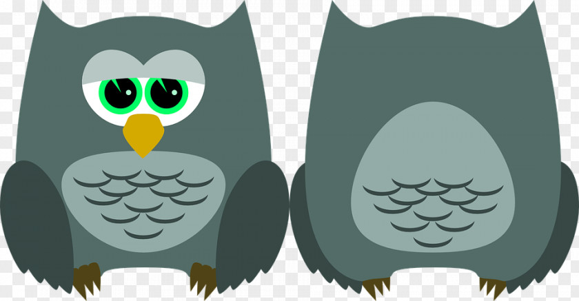 Owl Great Grey Bird Clip Art Horse PNG