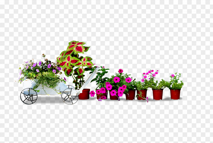 Small Potted Plants Flowerpot Bonsai Crock Houseplant PNG