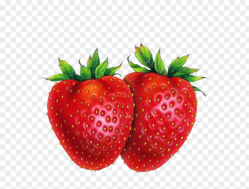 Strawberry Shortcake Drawing Fruit PNG