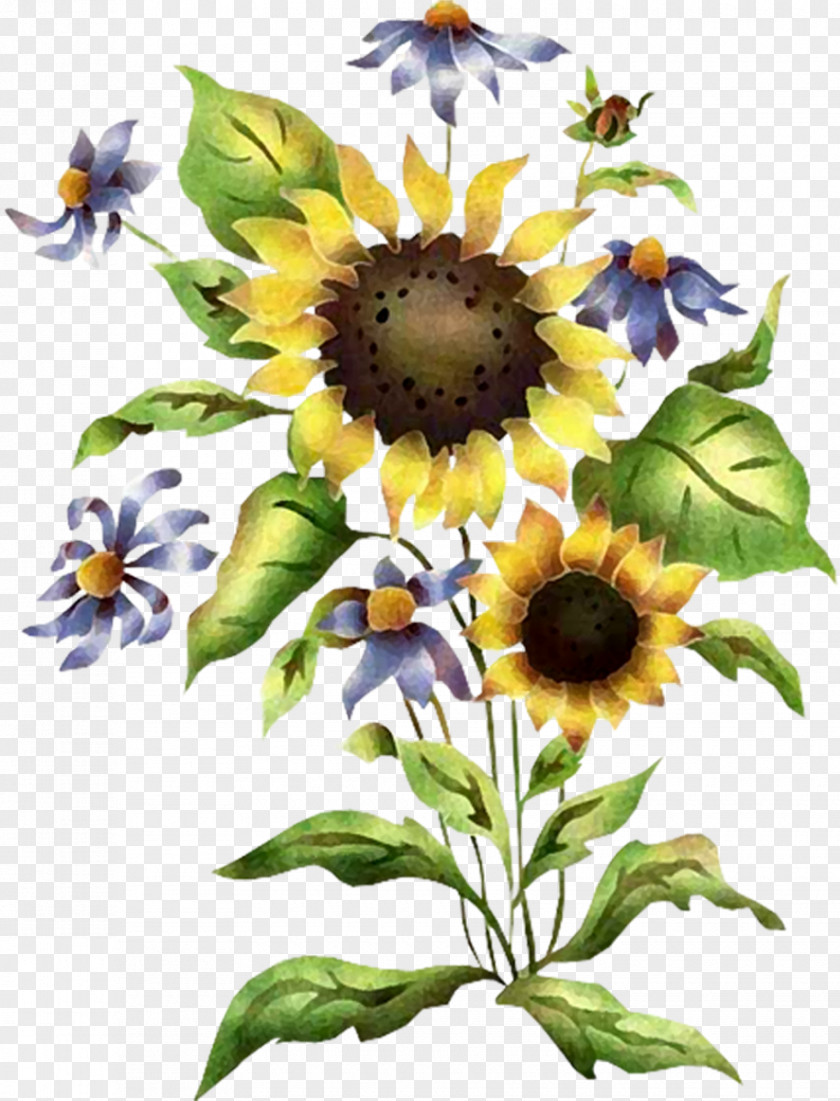 Sunflower Stencil Common PNG