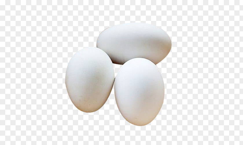 Three Goose Picture Material Domestic Egg White PNG