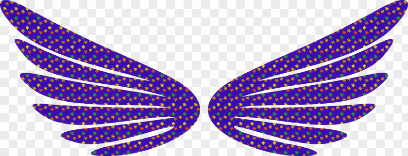 Wings Bird Angle PNG