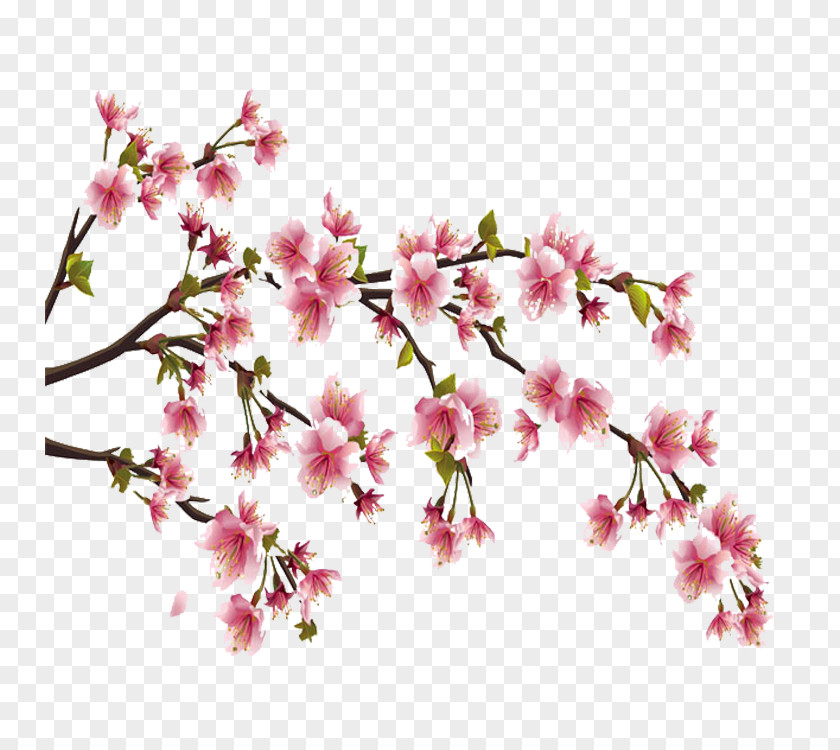 Cherry Blossom Perfume Flower Diptyque PNG