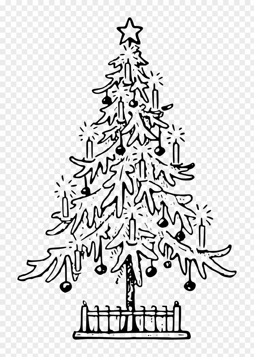 Christmas Drawing Tree Line Art PNG