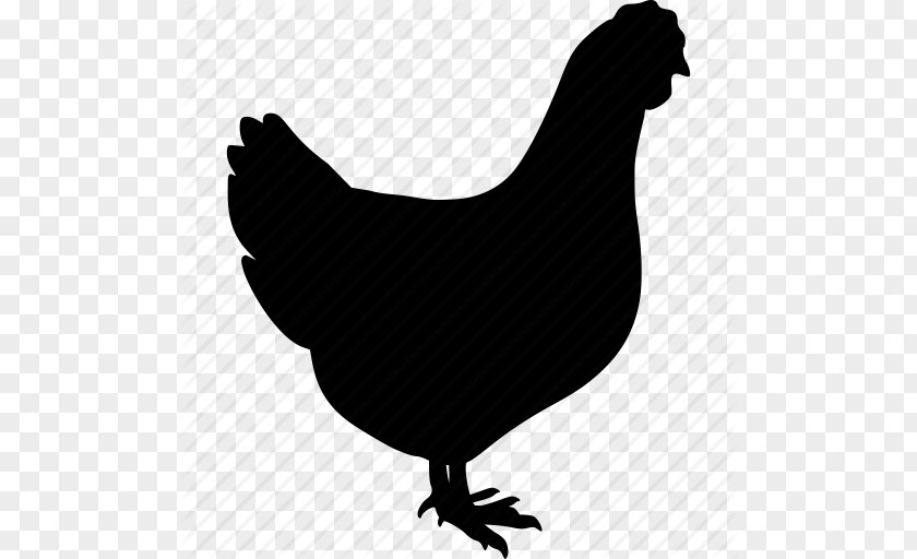Image Hen Icon Free Silkie Guineafowl Chicken Meat PNG