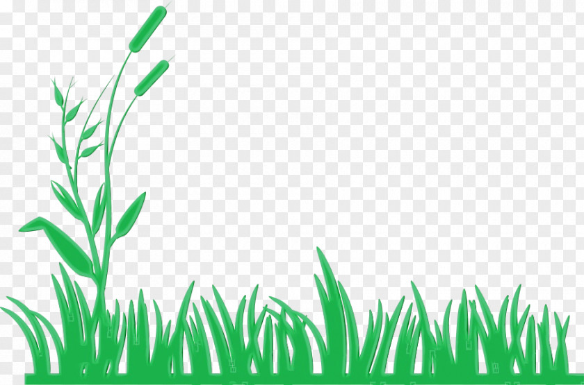 Leaf Grass Family Green Watercolor PNG