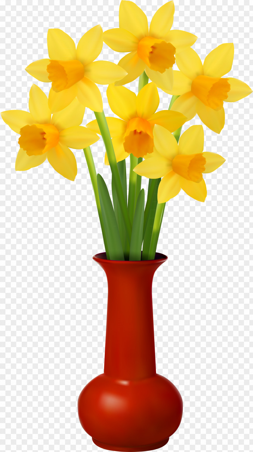 Narcissus Vase Daffodil Flower PNG
