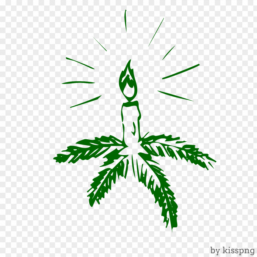 Pine Leaf, Candle, Holiday. PNG
