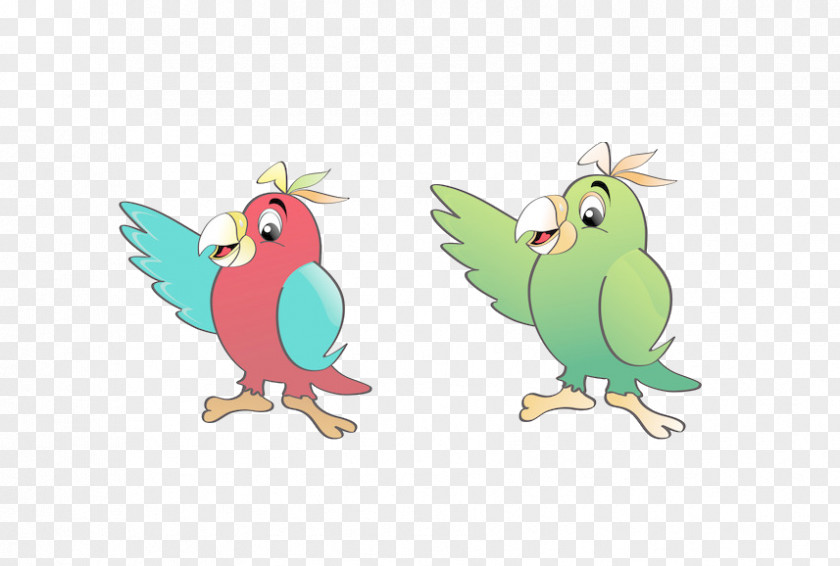 Two Lovely Parrots Talking Bird Cockatoo Illustration PNG