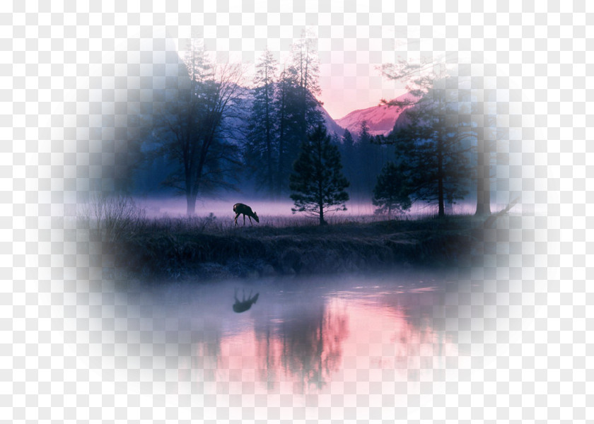 Deer Desktop Wallpaper Landscape Painting Sunset PNG