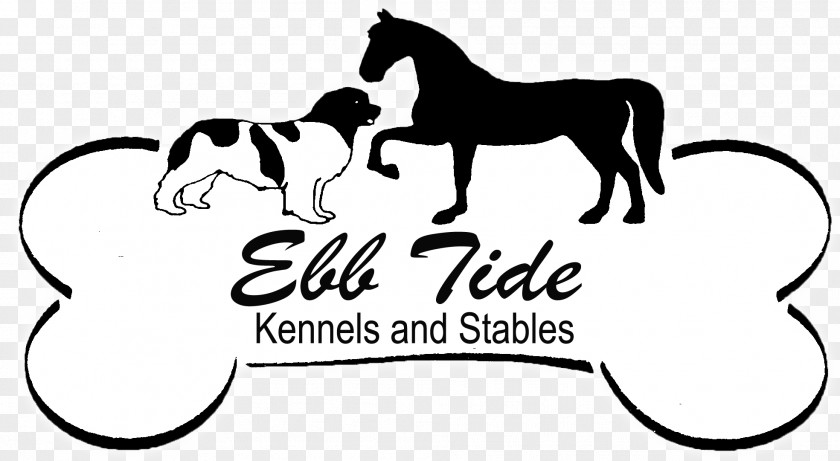 Dog Obedience Training Mustang Ebb Tide Kennels & Stables Trial PNG