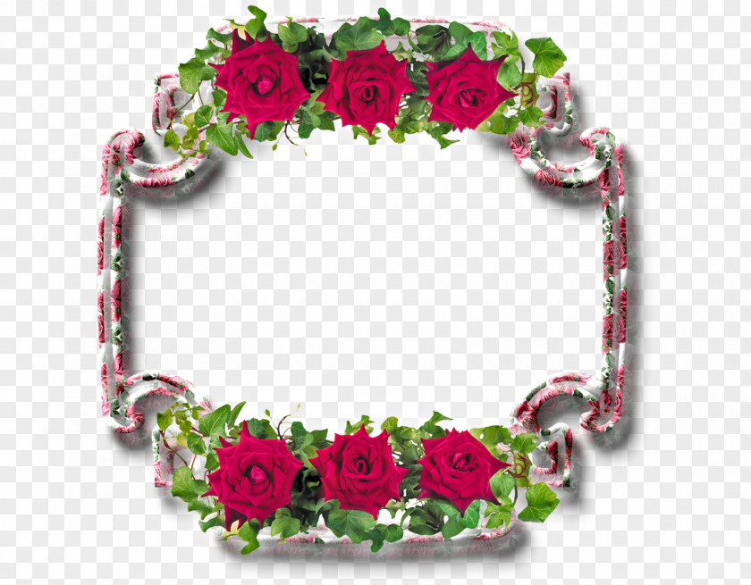 Flower Frame Picture Frames Photography Light PNG