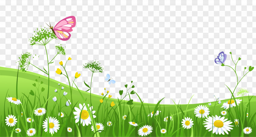 Grass With Butterflies Clipart Picture Clip Art PNG