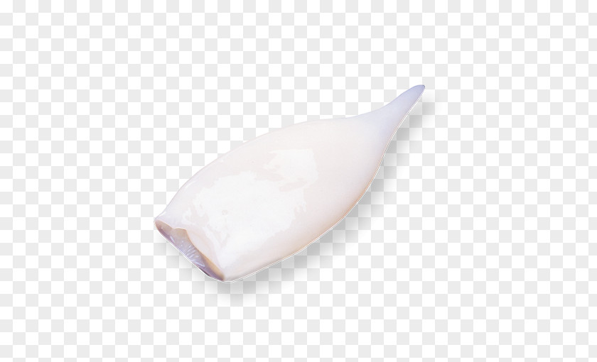 Pota Animal Fat Plastic PNG