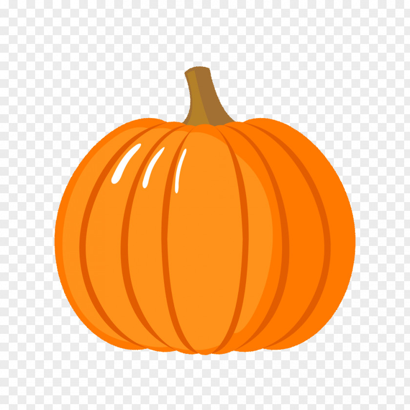 Pumpkin Field Cucurbita Maxima Clip Art Food PNG