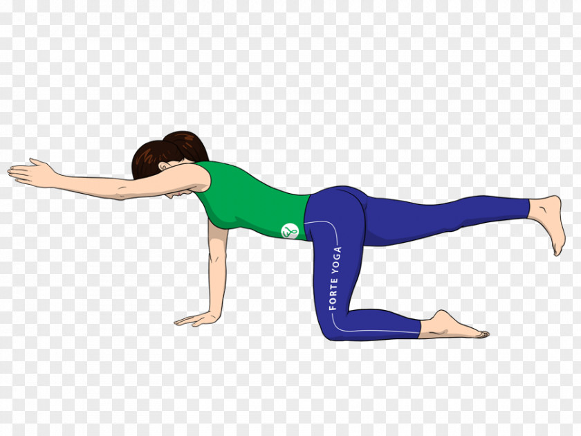 Targets Yoga Exercise Asana Arm Knee PNG