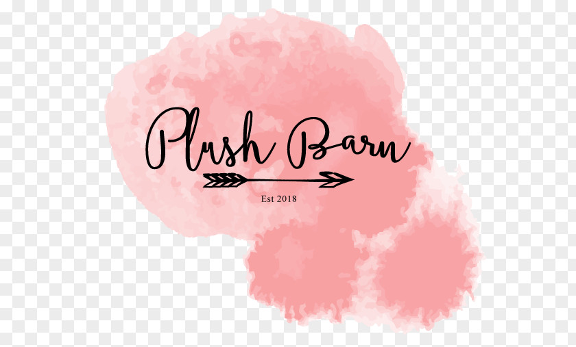 Web Design Gift Logo Plush Barn Validus Media Ltd PNG