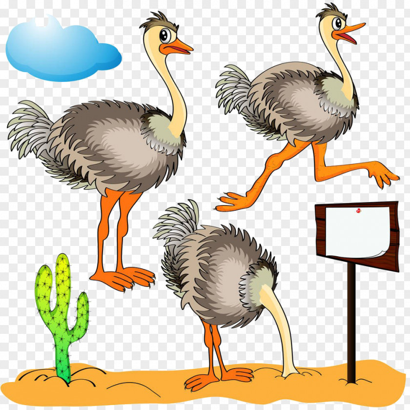 Cartoon Ostrich Material Common Clip Art PNG