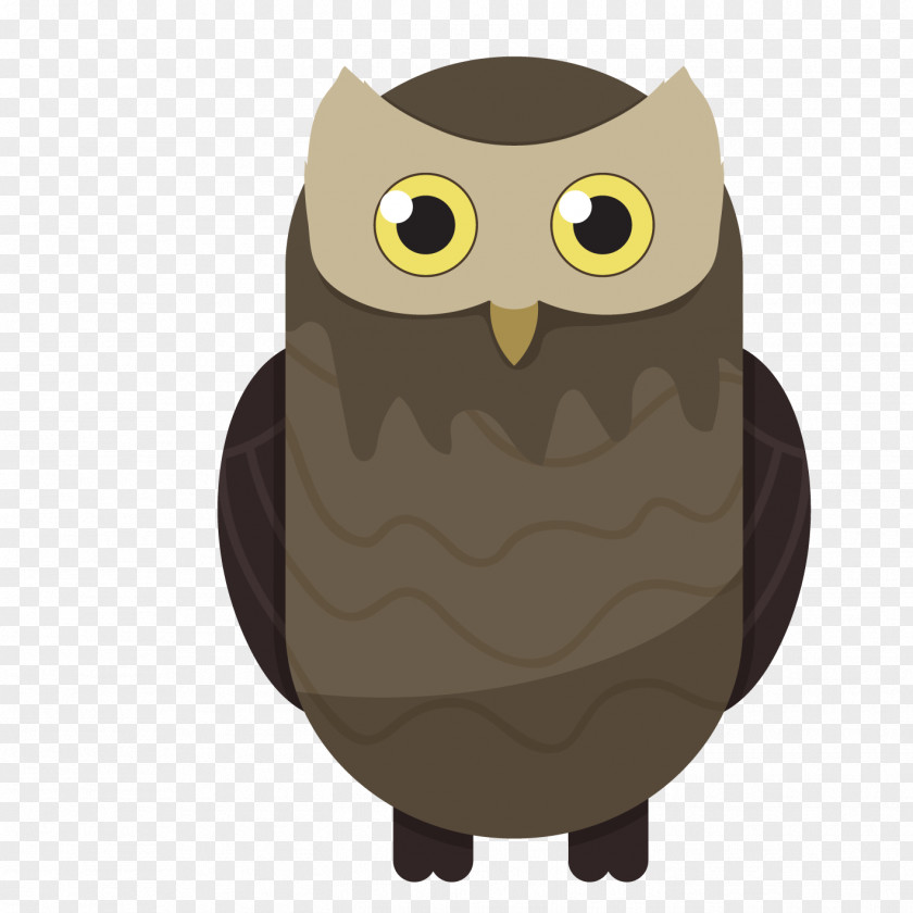 Cartoon Owl Bird Vector Graphics Drawing PNG