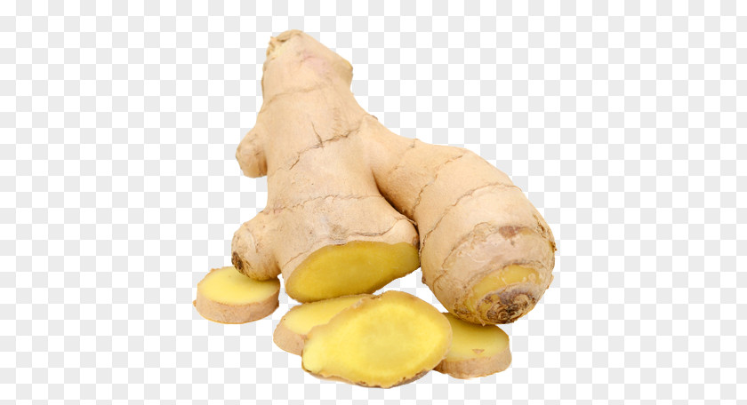 Ginger PNG clipart PNG