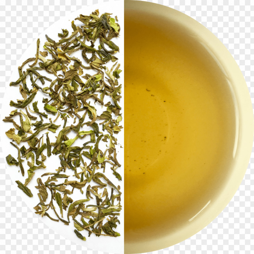 Green Tea Oolong Darjeeling Masala Chai PNG