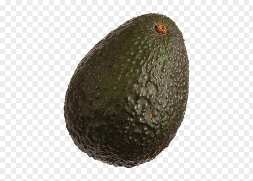 Hass Avocado Figleaf Gourd Fruit Food Vegetable PNG