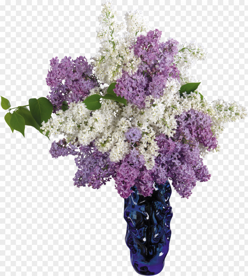 Lilac Common Flower Vase Desktop Wallpaper PNG