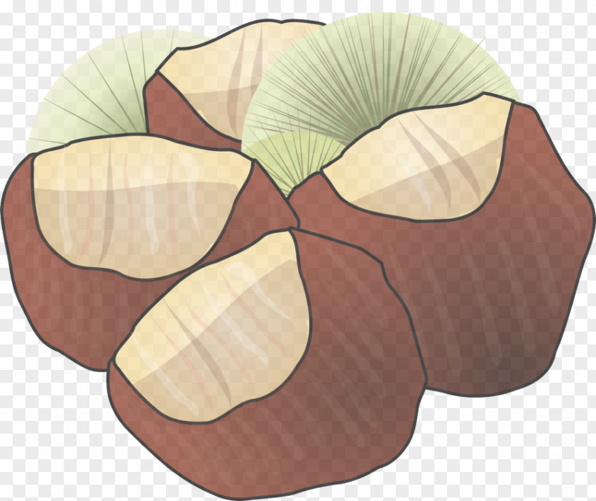 Petal Plant Clip Art Leaf PNG