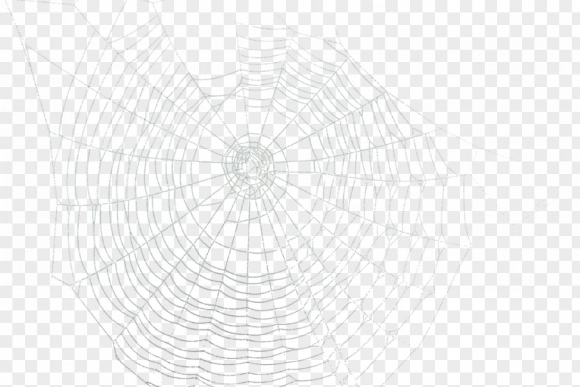 Telas Spider Web Circle Point Pattern PNG