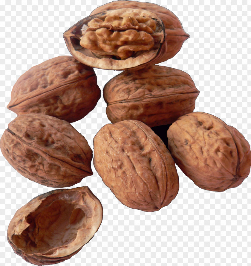 Walnut Dried Fruit Nuts PNG