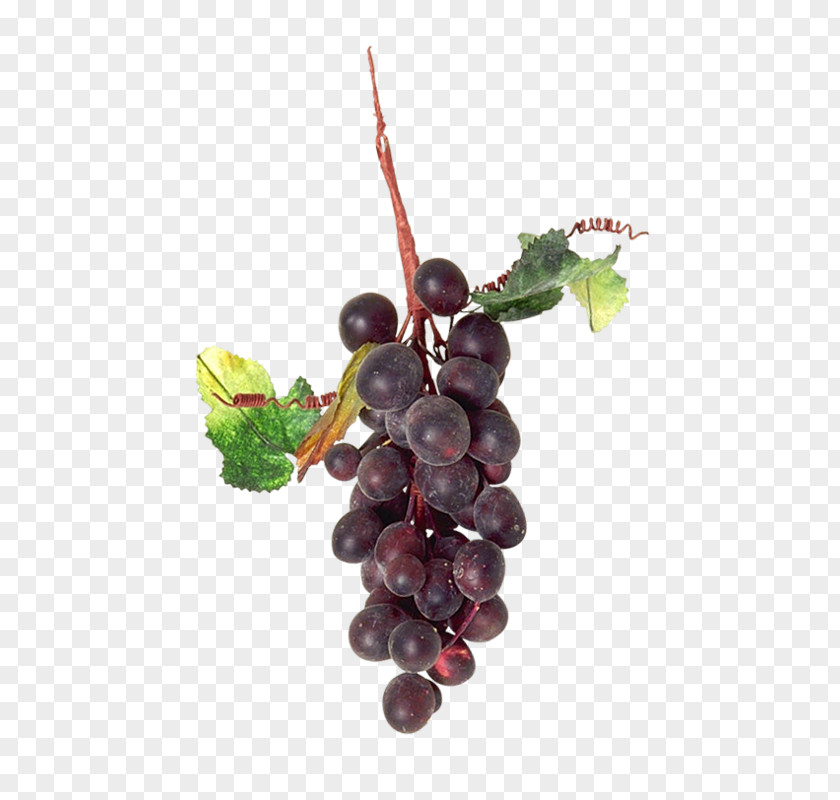 Bunch Of Grapes Grape Auglis Zante Currant PNG