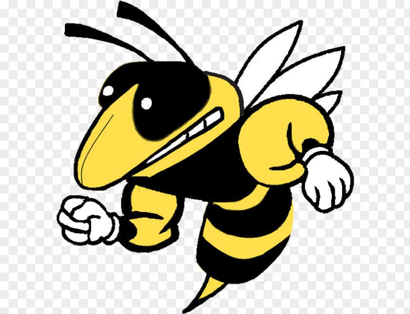 Carpenter Bee Pollinator American Football Background PNG