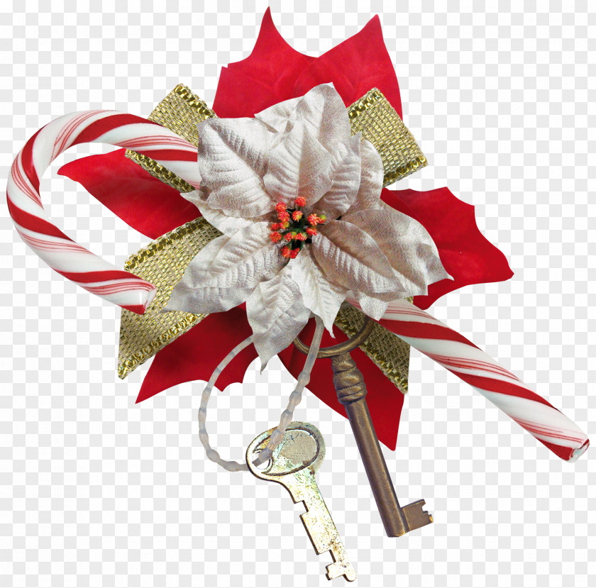 Decorations Christmas Decoration Flower Gift PNG